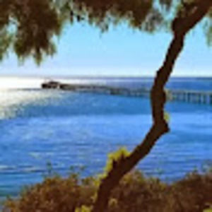 Meet your Posher, Eileen